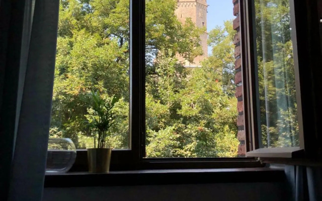 back to school (rote Schule)