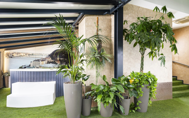 Bo33 Hotel Family & Suites