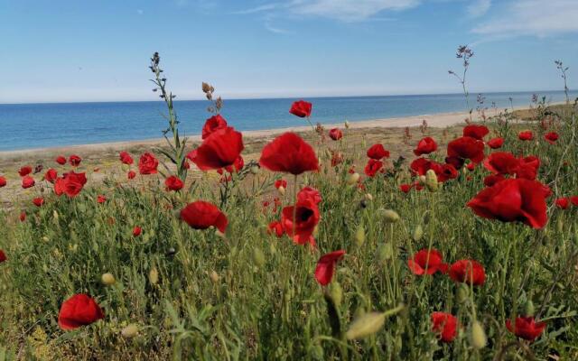House Albena