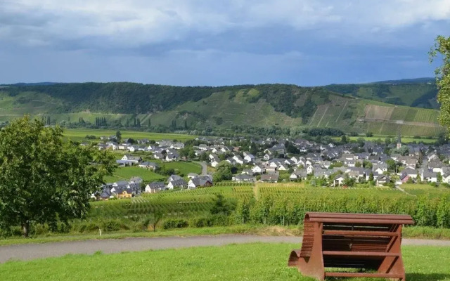Weingut Pension Gunther Scholtes