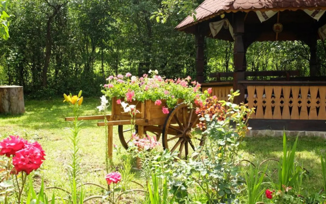 Pension Ardelean