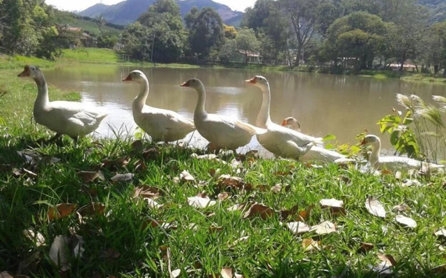 Pousada Sitio Bom Fim