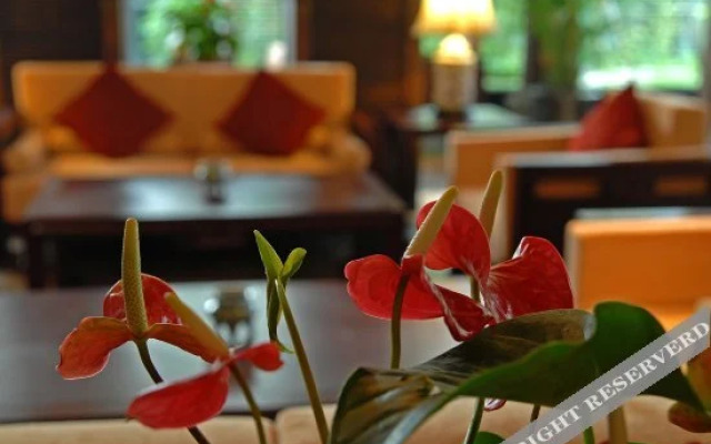 Wuzhen Club House