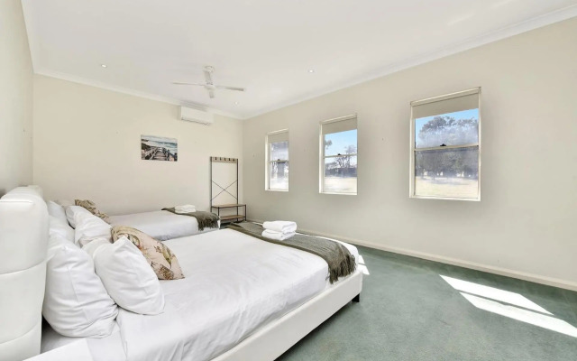 Olives and Vines at Majors Lane