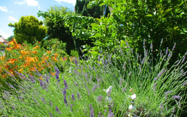 VILLA FREIA Dresden & Großer Garten Wohlfühlfactory by Freia