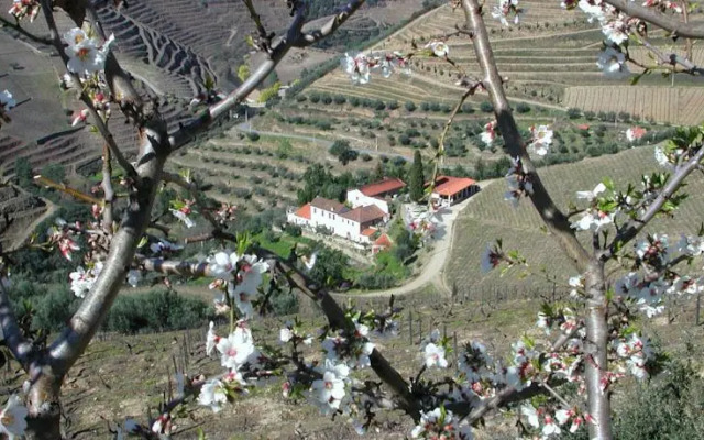 Quinta do Passadouro