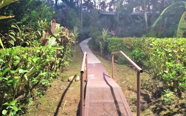 Rio Celeste Nature View