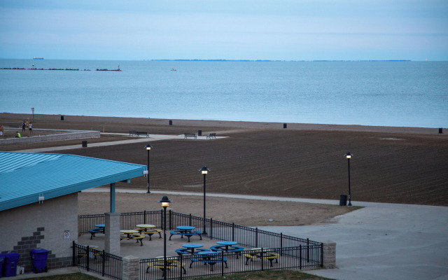 The Kingsville House