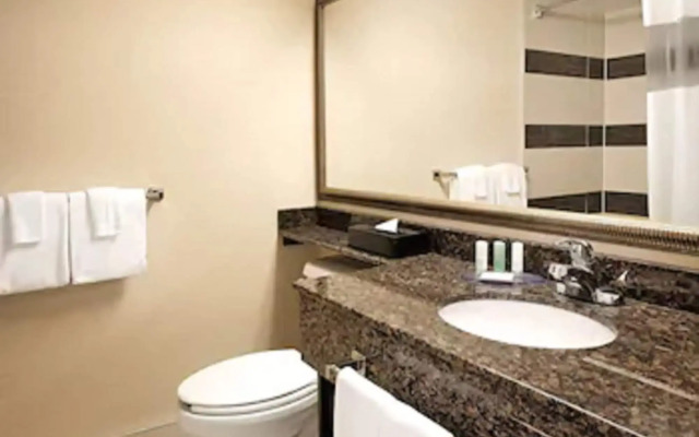 Comfort Suites Downtown