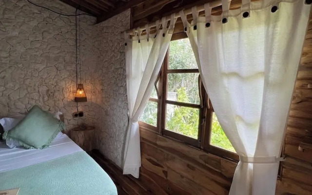 Roots Tree House