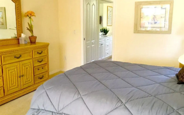 Sunny Daze Rotonda West