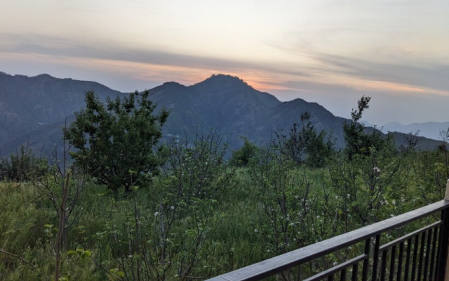 Orchard Green Shimla