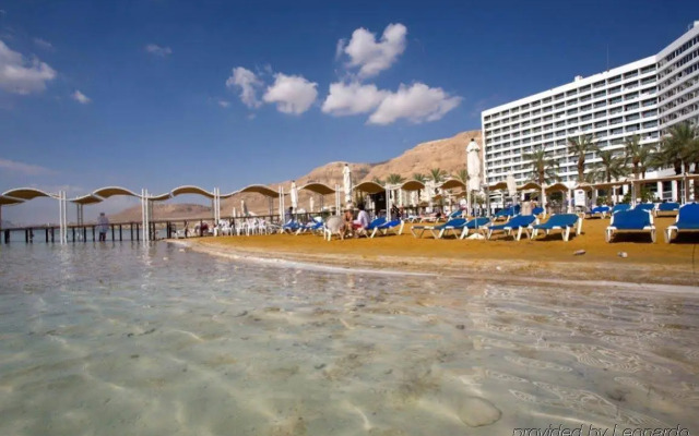 Vert Dead Sea