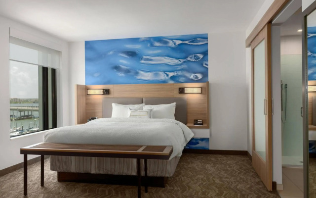SpringHill Suites by Marriott Bradenton Downtown/Riverfront