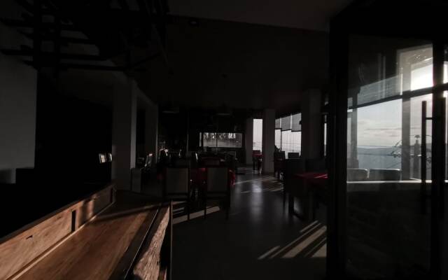 Plants and Flowers.YSTS