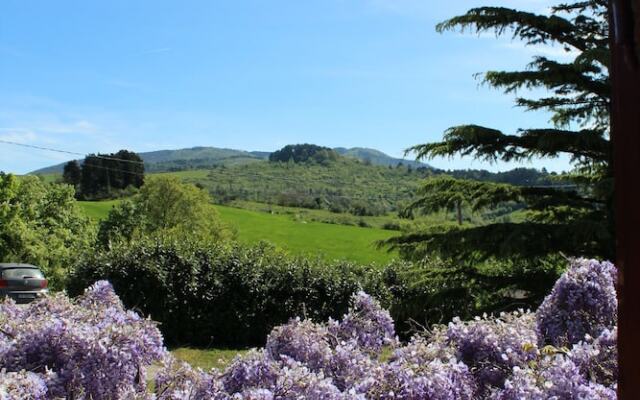 La Tinaia Del Glicine