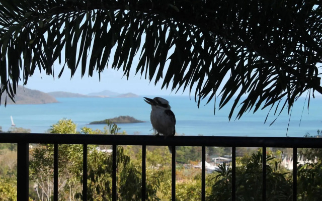 Whitsundays Rainforest Retreat