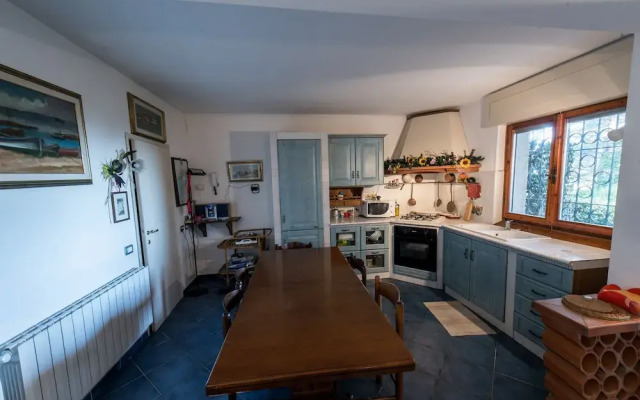 Sinfonia Toscana: Natura e Arte