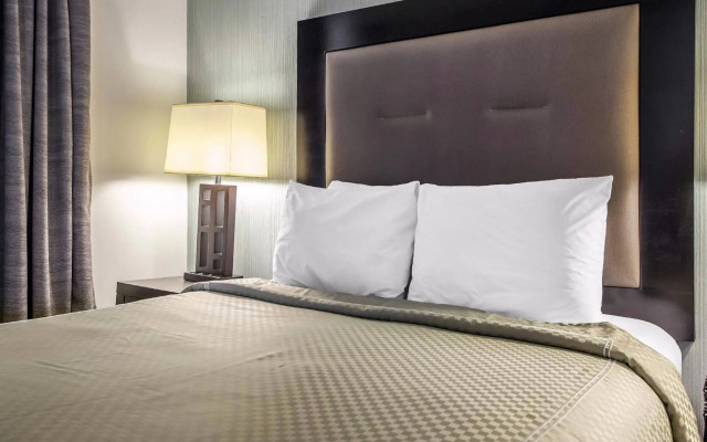 Quality Inn Center City