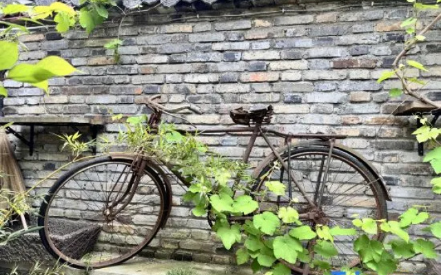 XuYibanshan Homestay – Outside – Xuyi