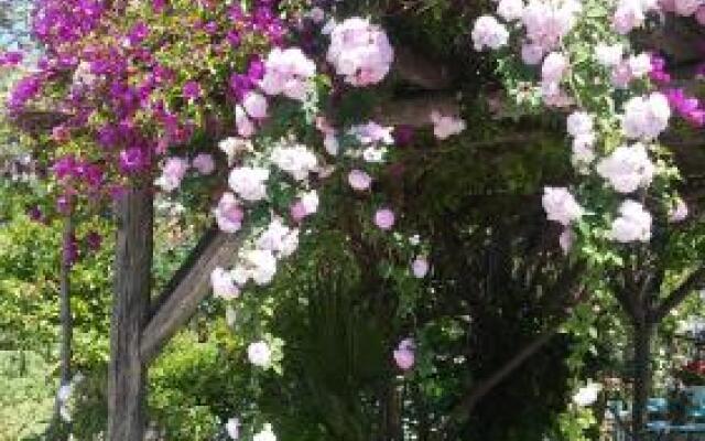 The Garden
