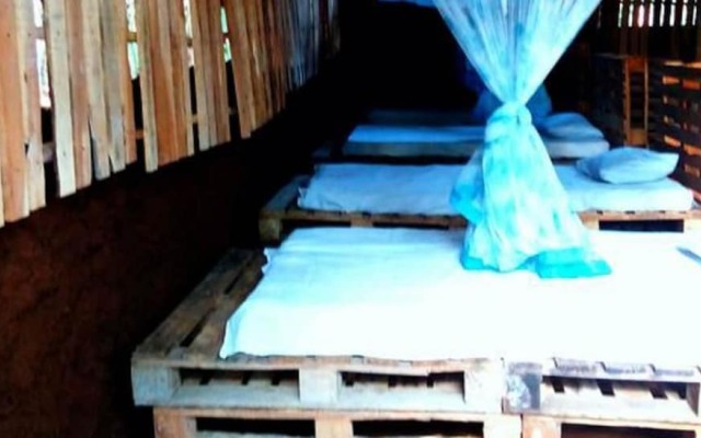 Yoho Mango Tree Home Stay & Hostel
