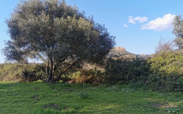 Village Camping  de l'Ostriconi