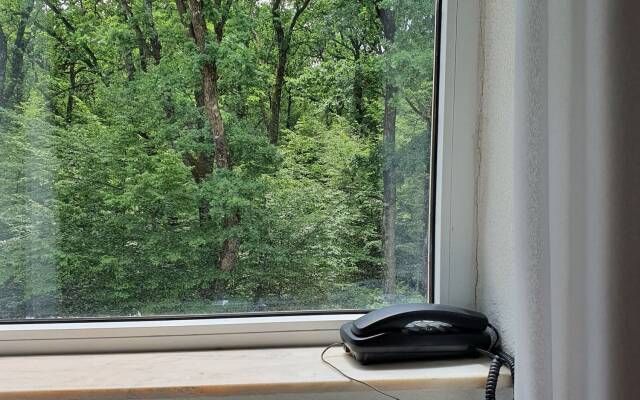 Complex Turistic Cornul Vanatorului