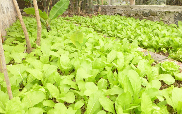 Trang An Farm Stay