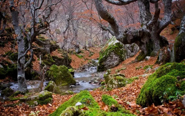 The Old Palace Tower / La Torre del Palación
