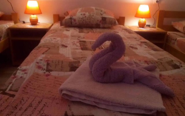 Guest House Vila Banjica