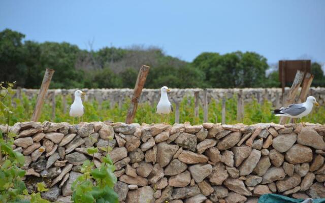 Calamoni di Favignana Apartments & Wine Experience