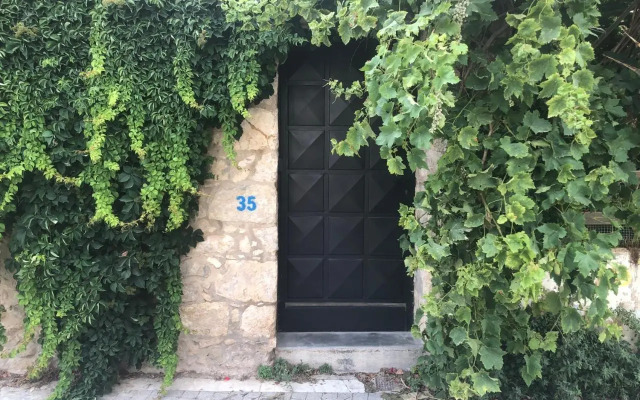 Stylish Art House Palmeti