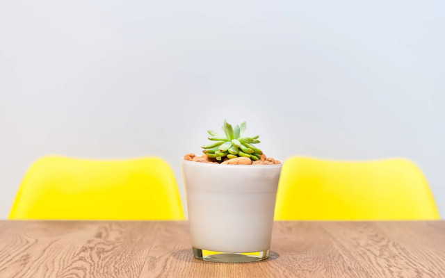 107 Dorpstraat Boutique Hotel