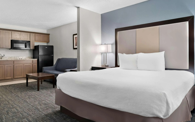 Best Western Plus Flint Airport Inn & Suites