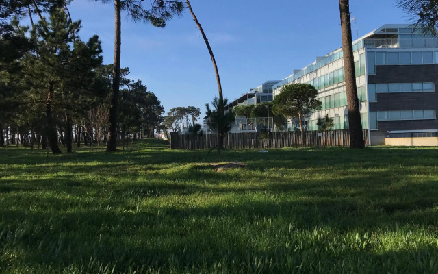 roomAREA vivienda turistica