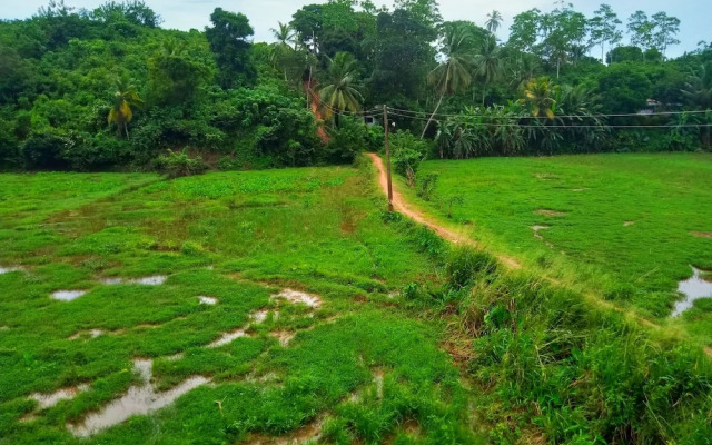 Green View Guest