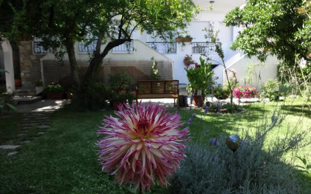 Loginos Studios