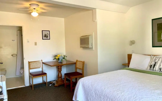 Mountain Springs Motel