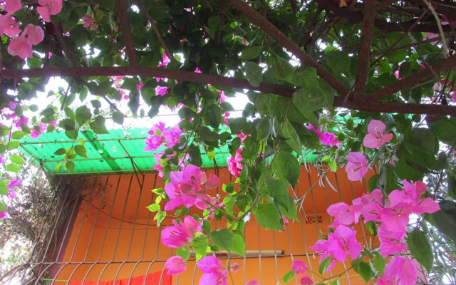 Pubali Homestay