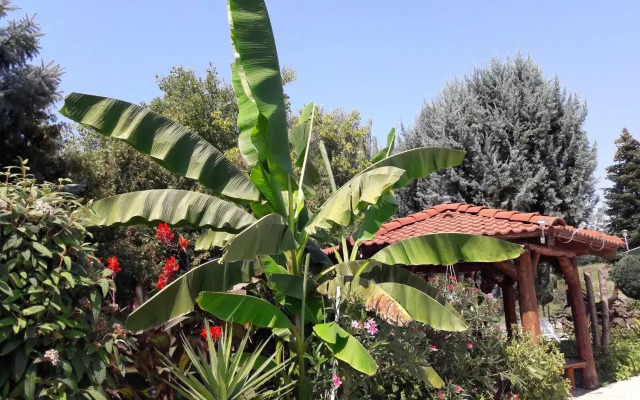 Palatinus Apartmanok