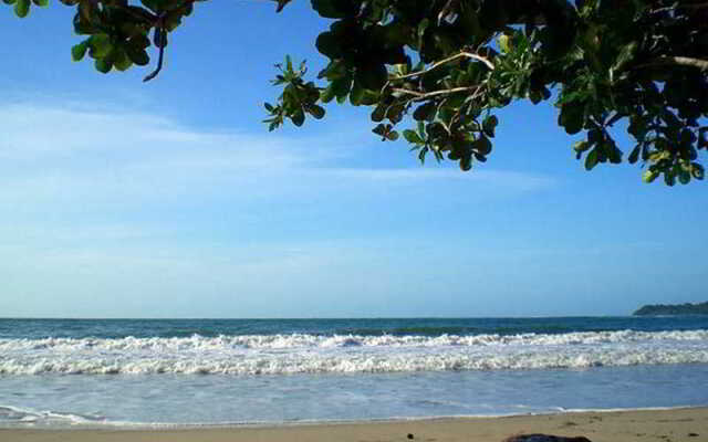 Cariblue Beach and Jungle Resort