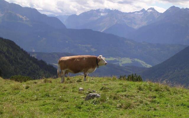 Gasthof Pension Wiesenruh