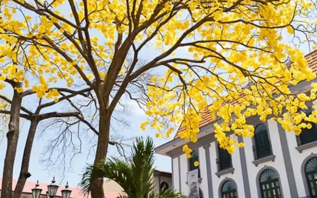 The Plaza Catedral Views by Acomodo Casco Viejo