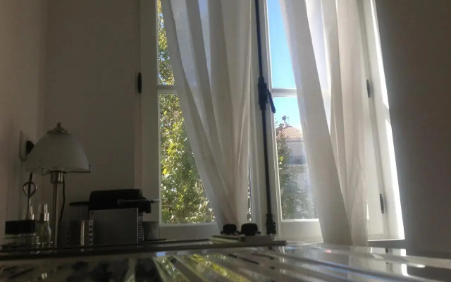 Vieux Port Appartement Maritime