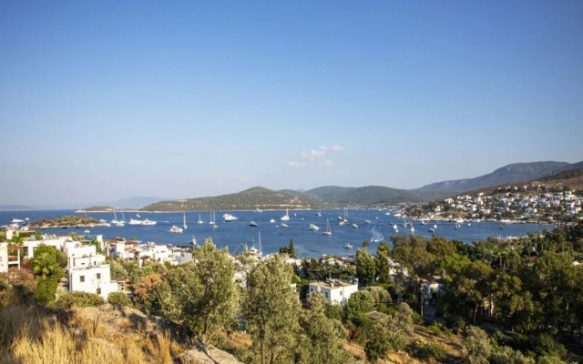 Seaside House With Mesmerizing View in Turkbuku