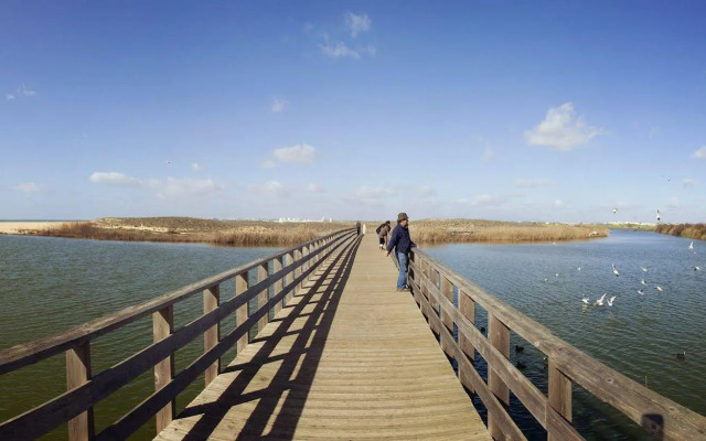 BaySide Salgados