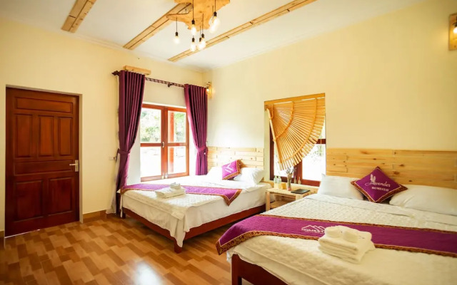 Tam Coc Lavender Homestay