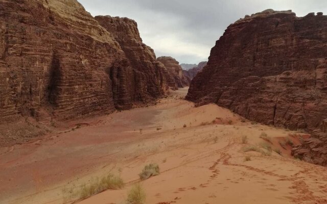 Bedouin Host Camp