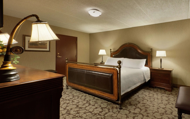 Hilton Garden Inn Rochester/Pittsford